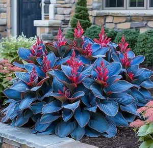 Хоста Грин Фог купить по цене от 669р. в интернет-магазине «Посадика» с доставкой почтой в в Москве и по всей России – [изображение №1].